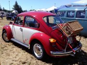 Beetle Show Rioz (55)